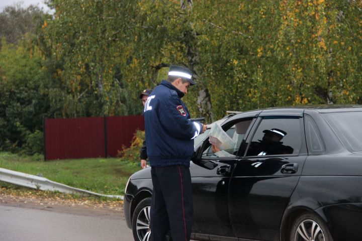 Госавтоинспекторы Татарстана напомнят детям и водителям о необходимости соблюдать ПДД