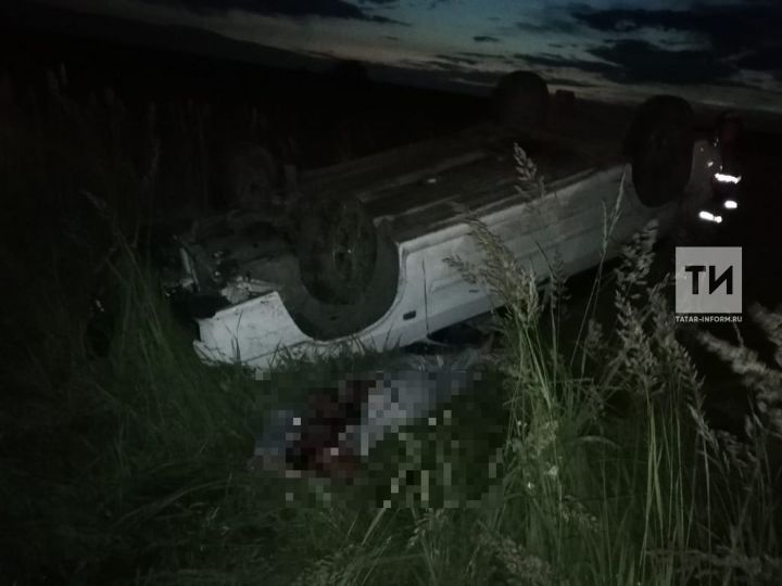 В Татарстане женщина-водитель «Лады» погибла, вылетев с дороги в кювет