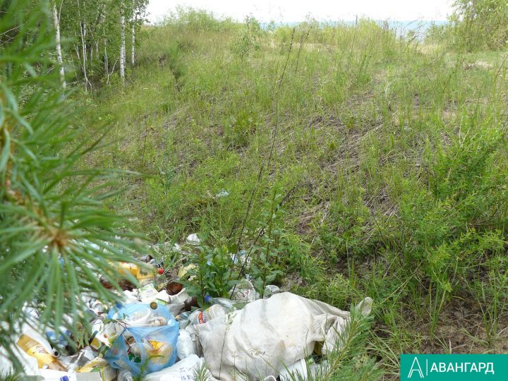 Благодаря «Народному контролю» в Татарстане ликвидирована свалка мусора