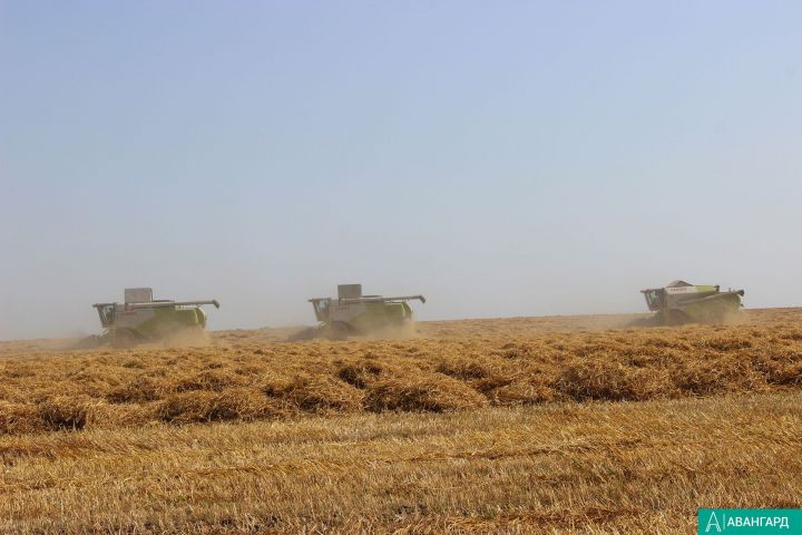 Аграрии Татарстана собрали первый миллион тонн зерна урожая-2019