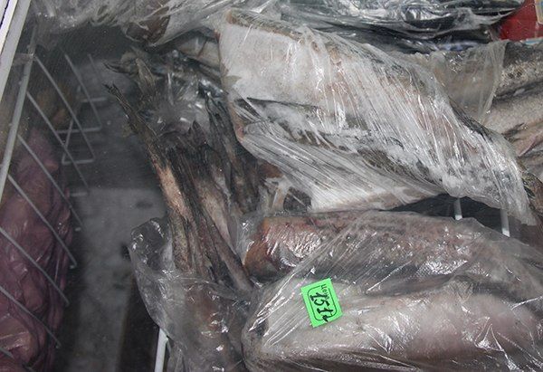 Более тонны рыбы и морепродуктов изъял из оборота Роспотребнадзор по РТ