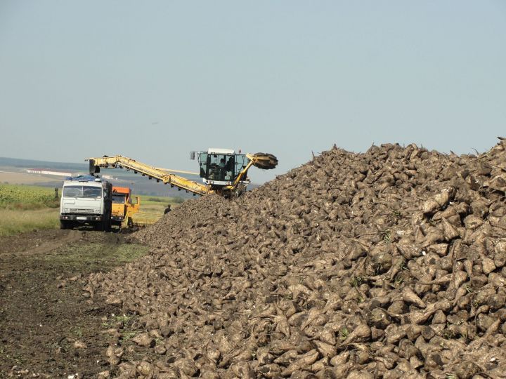 Об уборке на полях в цифрах