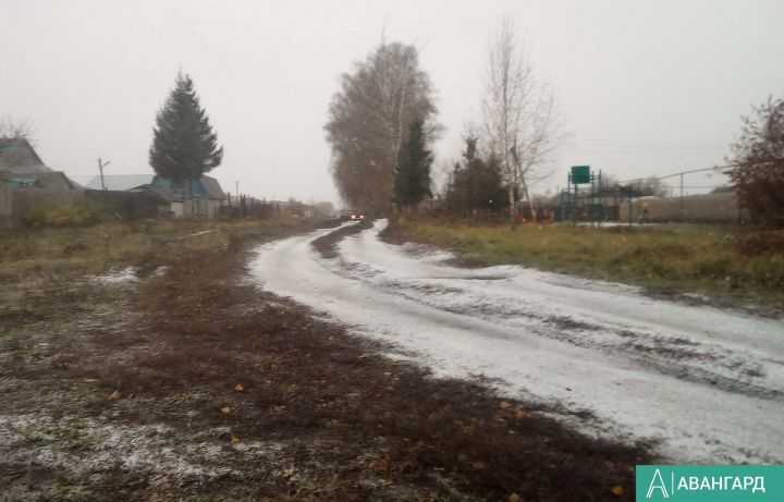 Уже в конце недели в Татарстане может выпасть первый снег