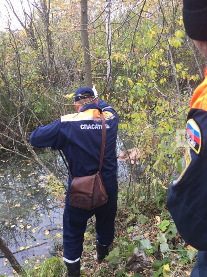 Из озера в казанском парке Победы достали тело утонувшего мужчины