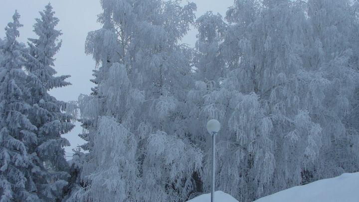 1 января в Татарстане сохранится влажная и теплая погода