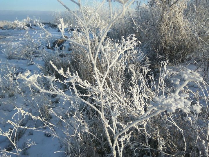 12 декабря - Анисьин день. К этому дню обычно усиливался мороз