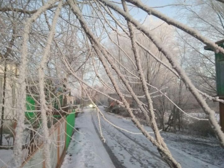 Прогноз погоды на 13 января: в Татарстане ожидается мокрый снег