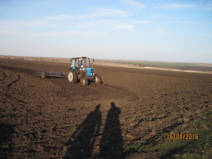 В Минсельхозе России отметили Татарстан в числе передовых регионов по известкованию кислых почв и технической модернизации сельхозтехники