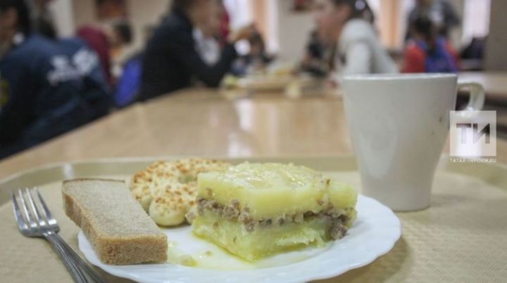 Бесплатным горячим питанием в Татарстане в 2020 году обеспечат  учеников 1-4-х классов