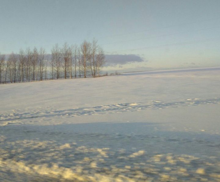 Прогноз погоды на 31 января по Тетюшскому району
