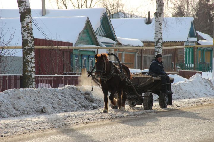 9 января-Степанов день. Приметы и поверья дня