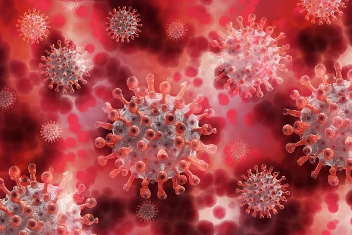 В Тетюшском районе два новых случая коронавирусной инфекции