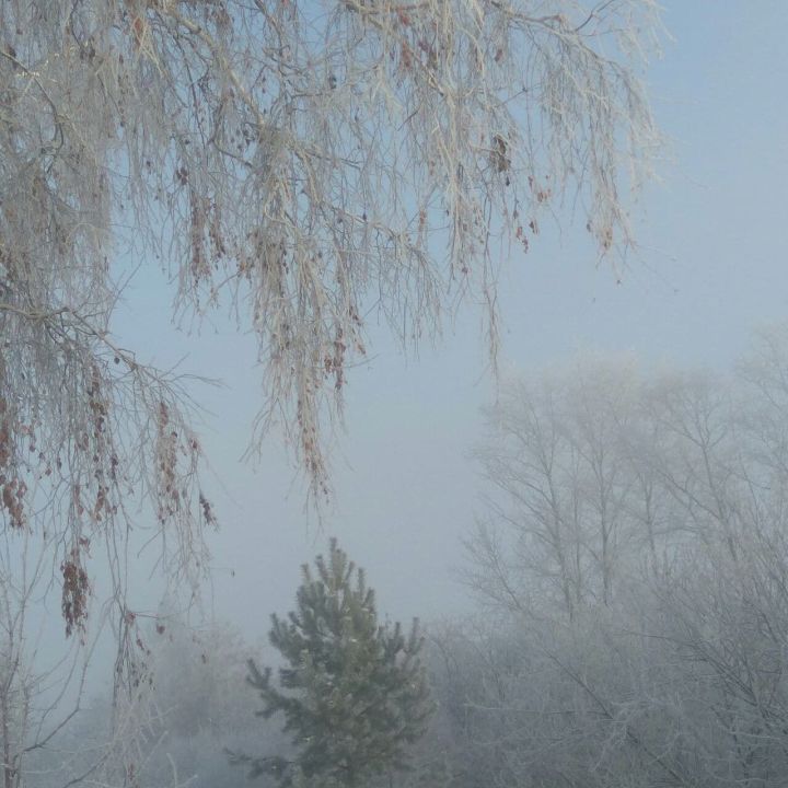 Татарстанцев синоптики Гидрометцентра РТ предупреждают о тумане
