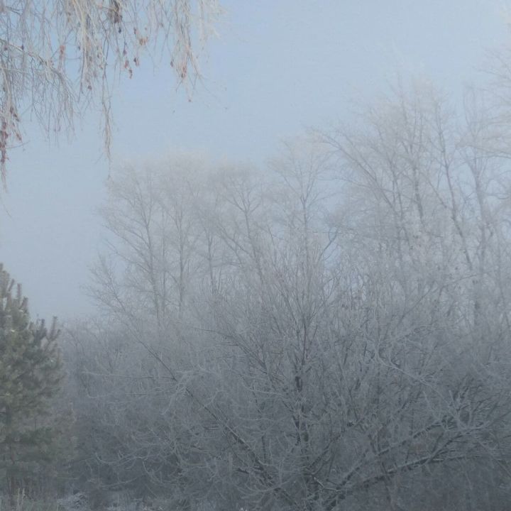 Ночью и утром 28 ноября на территории Татарстана местами ожидается туман