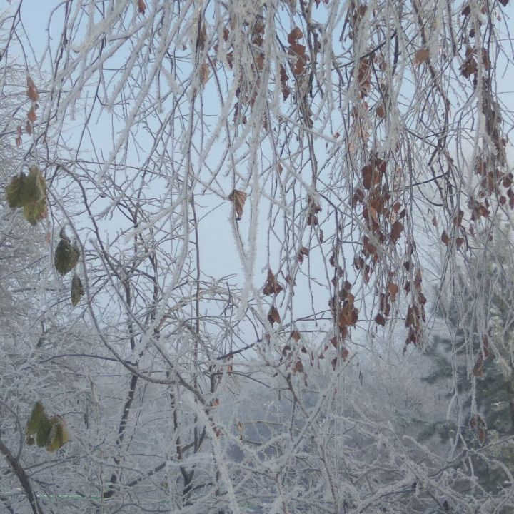 В первый день зимы на территории Республики Татарстан вновь ожидается туман