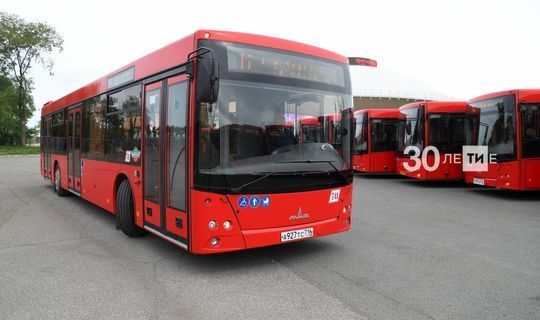 В Татарстане арестовано 8 пассажирских автобусов за нарушение правил перевозки
