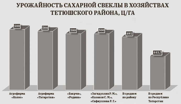 Тетюшские растениеводы – снова в лидерах республики