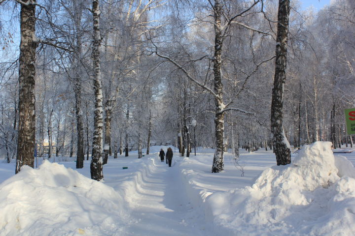 21 декабря на территории Татарстана ожидаются туман, днем и вечером гололед