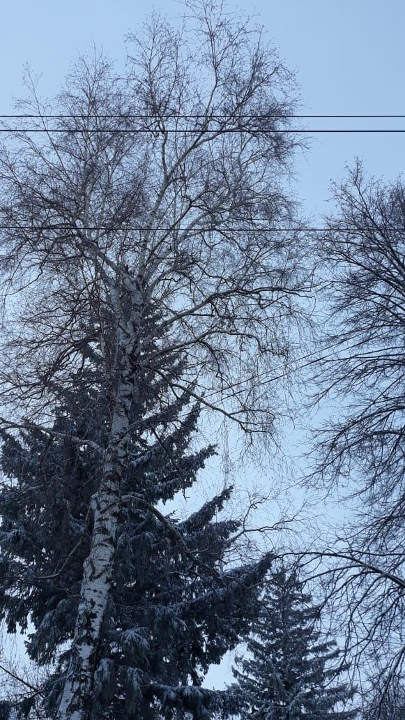 По народным приметам на Анну Зимнюю, 22 декабря, можно судить о погоде 31 декабря