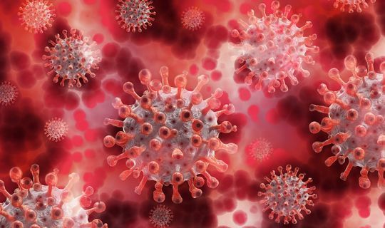 Специалист сообщил об опасности распространителей коронавируса