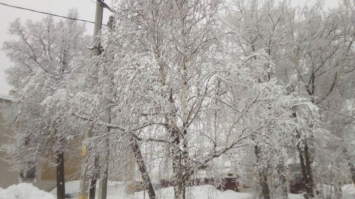 Синоптики Татарстана прогнозируют резкое похолодание: прогноз погоды на 8 февраля