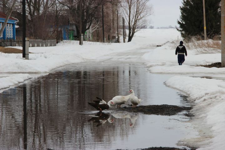 На подготовку к весеннему паводку в Татарстане потратили почти 500 млн рублей