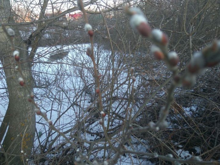 В Тетюшском районе 24 марта  ожидается ночью и утром местами сильный снег
