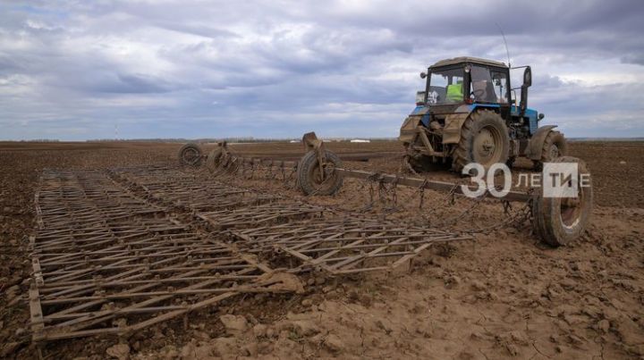 В республике к весенне-полевым работам приступили все районы Татарстана