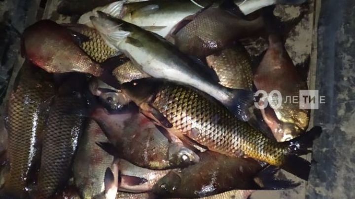 В Татарстане браконьеры выловили рыбу на сумму 19 тысяч рублей