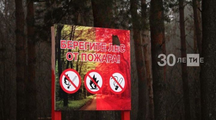 По нацпроекту «Экология» в Республике Татарстан появятся новые лесопожарные станции