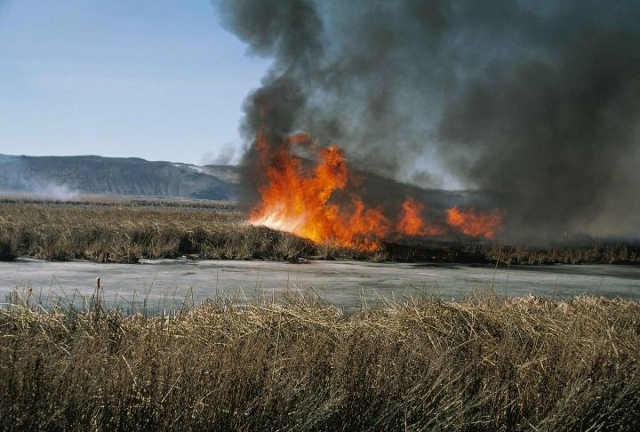 На территории Татарстана введен полный запрет  на разведение  костров, сжигание сухой травы и мусора