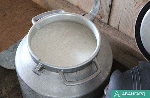 В Татарстане валовые надои молока превысили отметку 4 000 тонн в сутки