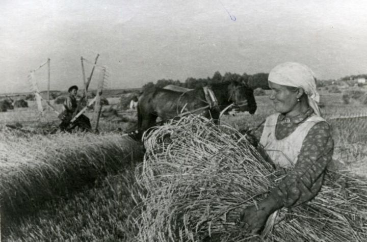Минсельхозпрод Республики Татарстан поздравляет работников агропромышленного комплекса со 100-летием ТАССР