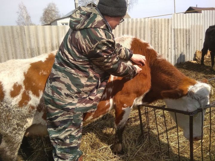 Ветврачи Тетюшского района проводят плановые осмотры и вакцинацию животных.