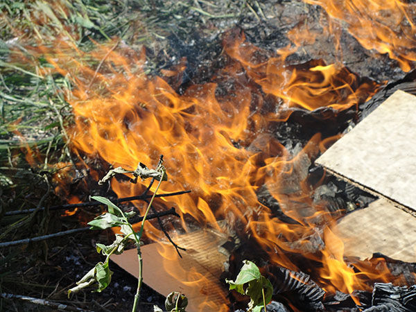 На территории Татарстана по 22 июля сохранится высокая пожарная опасность лесов