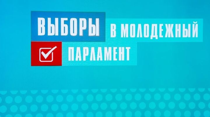 Стартовало голосование за кандидатов в Молодежный парламент