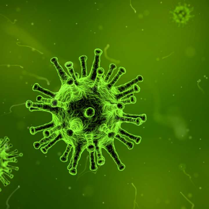 Ученые определили вещество, без которого коронавирус не может распространяться