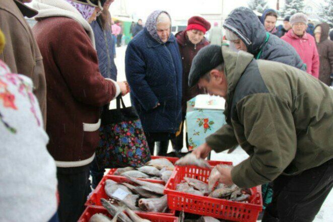Для жителей и гостей Тетюшского района проходит сельскохозяйственная ярмарка
