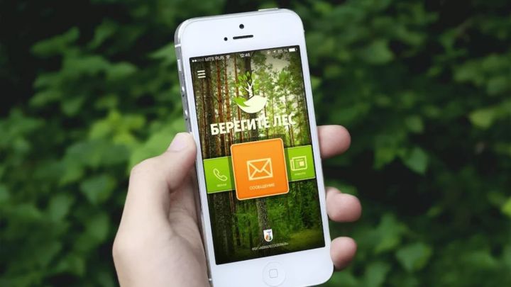 Татарстанцам стало доступно бесплатное мобильное приложение «Берегите лес»