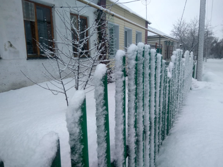 По народному календарю, 10 февраля, День Домового: загадываем желание