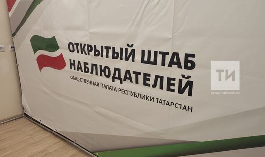 К выборам в Госдуму РФ будут подготовлены более 5 тыс. наблюдателей