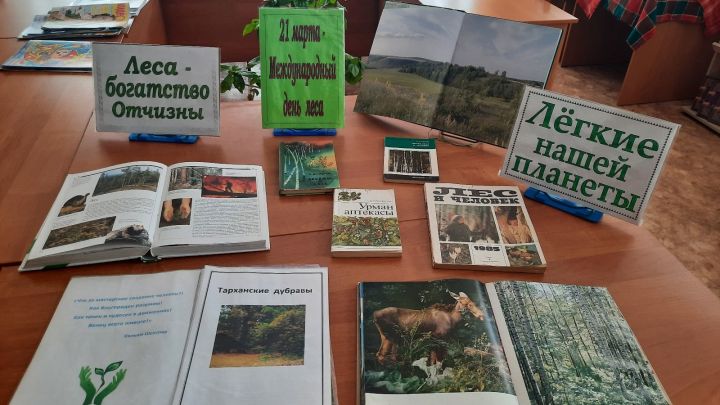 В Большетарханской библиотеке представлена книжная выставка «Легкие нашей планеты»