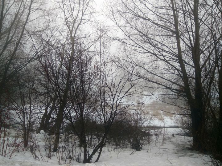 На территории Татарстана 2 апреля ожидается утром туман, днем сильный ветер