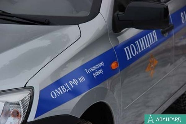 Сотрудниками Госавтоинспекции Тетюшского района был задержан нетрезвый водитель авто