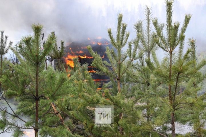 На территории Республики Татарстан сохраняется высокая пожарная опасность лесов