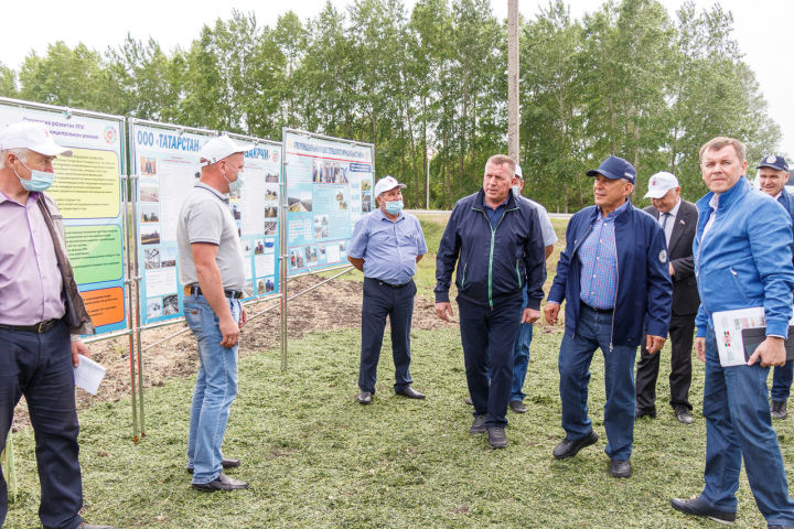 Президент Татарстана посетил Тетюшский район