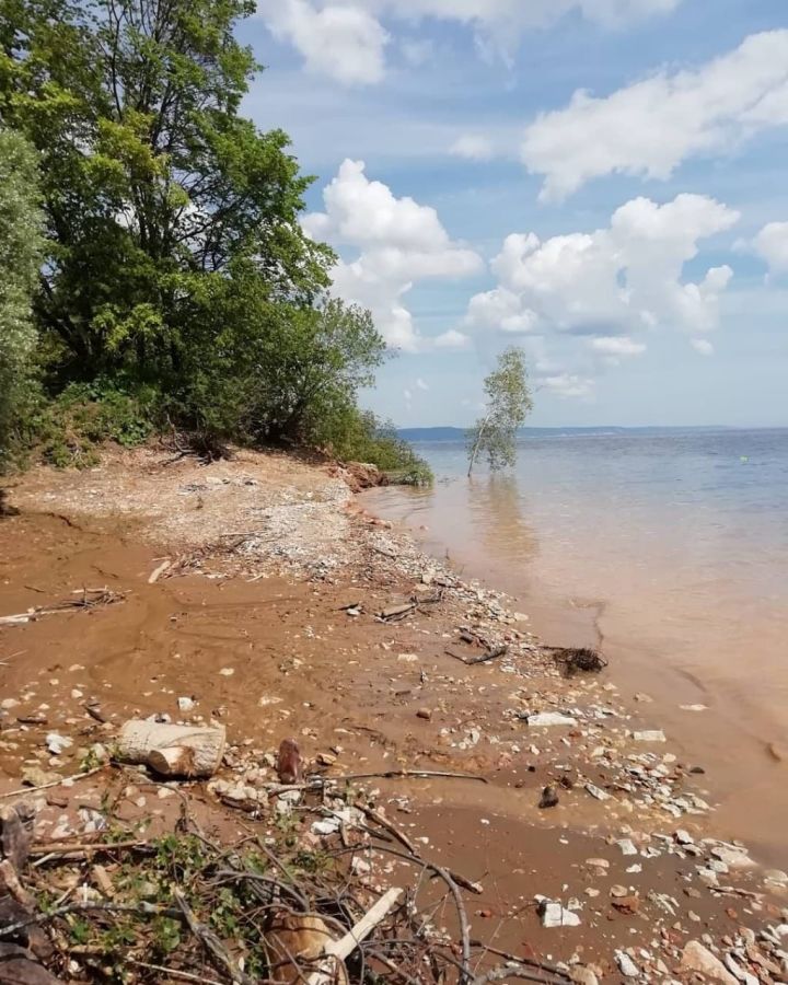 Овнам нужно провести несколько минут в общении с природой, а Водолеям стоит начать новый проект