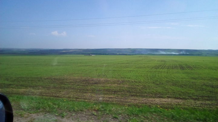Большинство татарстанских аграриев к середине мая завершат посевную