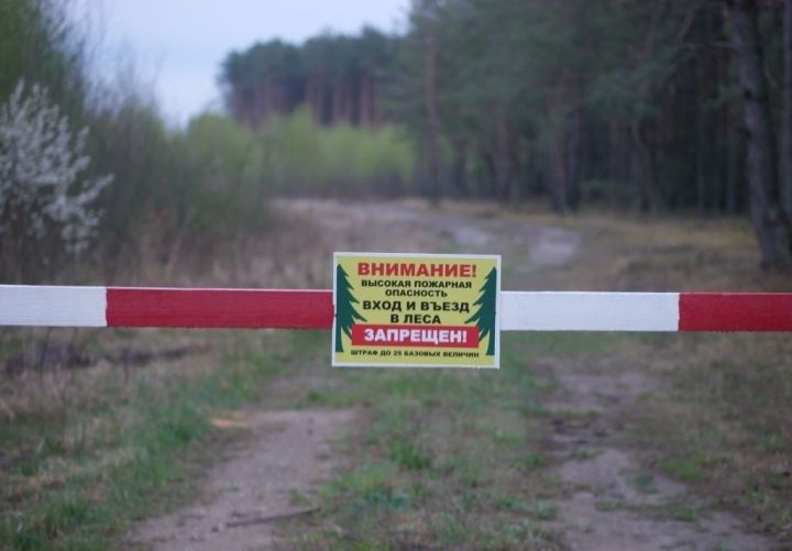 Посещение лесов в Татарстане – под запретом