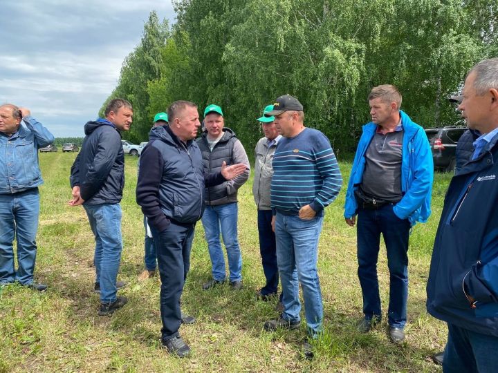 Аграрии Тетюшского района обсудили ход заготовки кормов для КРС на семинаре на базе агрофирмы «Колос»